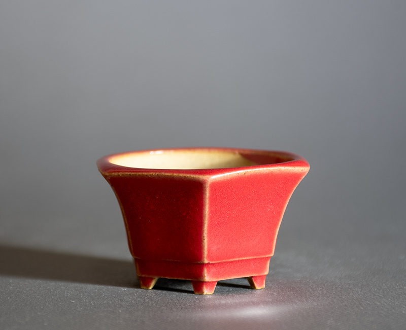 赤釉六角盆栽鉢（Red glaze bonsai pot）p1290-2・Syoko Kunii bonsai pot of Best Selection｜國井正子盆栽鉢作家のベストセレクション