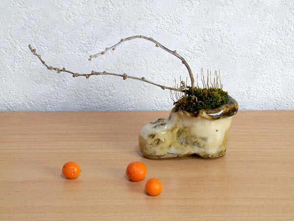 クコB-1（くこ・枸杞）実もの盆栽の販売と育て方・作り方・Lycium chinense bonsai photo