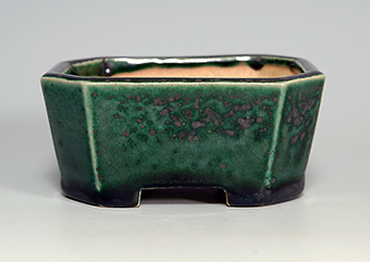 國井正子盆栽鉢作家-0079｜Syoko kunii Bonsai Pot artist