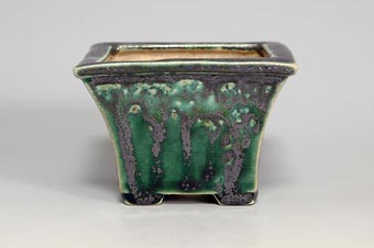 國井正子盆栽鉢の写真集・ベストセレクション-リスト8｜Syoko Kunii Bonsai pot selection