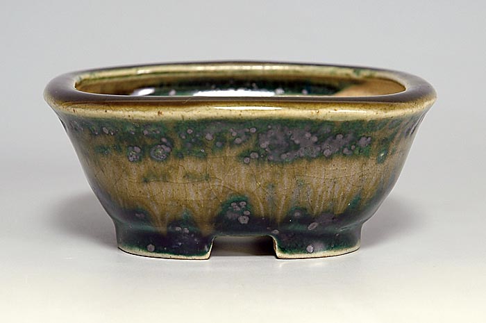 織部釉正方盆栽鉢（Oribe glaze bonsai pot）0134｜國井正子盆栽