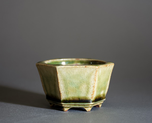 緑いらぼ釉六角盆栽鉢　p1300　Irabo green glaze bonsai pot｜おすすめの盆栽鉢